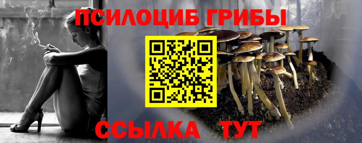 Псилоцибиновые грибы мицелий Дивногорск