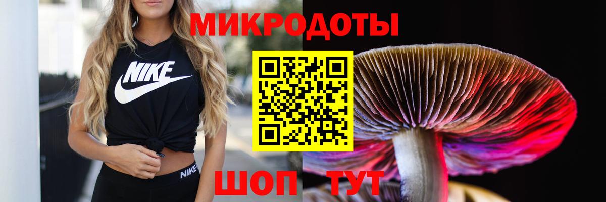 Дивногорск  Галлюциногенные грибы Magic Shrooms  Галлюциногенные грибы прущие грибы  Вход с VPN 